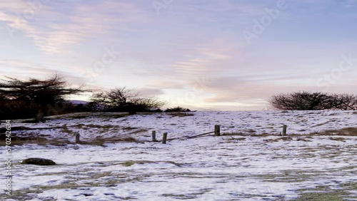 stunning views in lake district, stunning sunset in lake district, stunning hills in lake district, puppies playing in snow, cavapoo, dogs playing in snow, whitbarrow, cumbria, United Kingdom photo