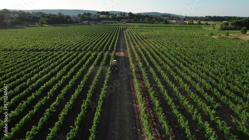 Aerial tracking shot of a farmer spraying toxic pestisides over the vineyards near Montpellier photo