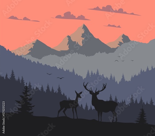 deer in the mountains