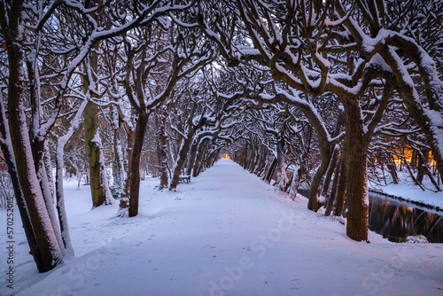 Winter scenery in snowy public park in Gdansk Oliwa, Poland