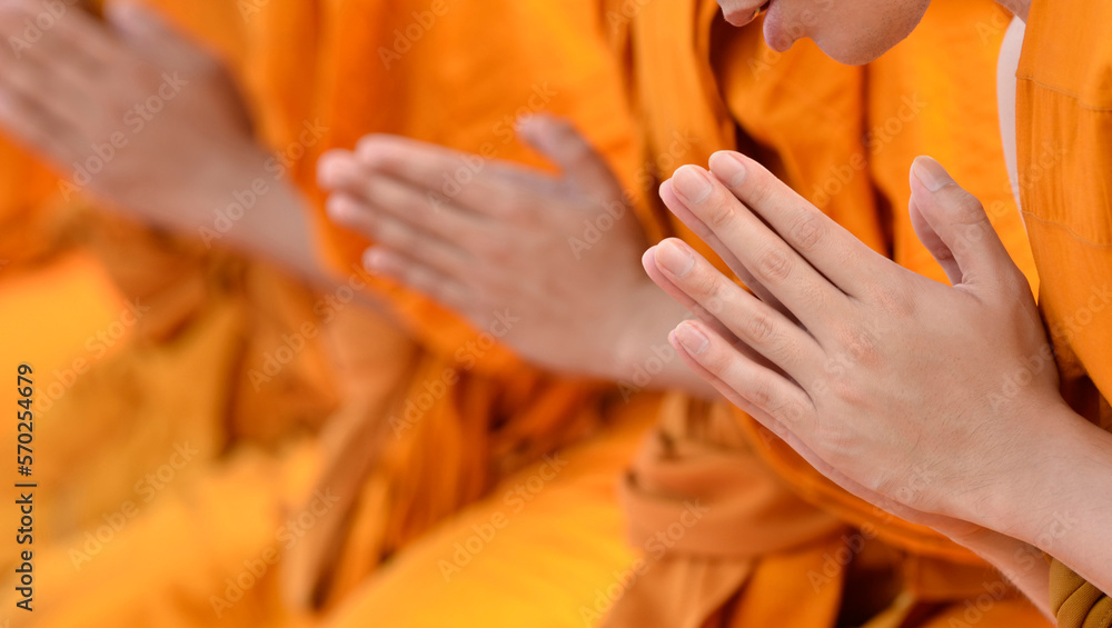 Pray of monks hand on ceremony of buddhist in India. Many Buddha monk