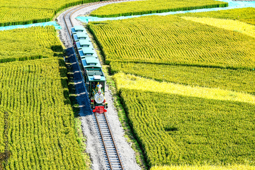 A paddy field painting site, tourist train and viewing platform for tourists has been opened in rural Zunhua city. photo
