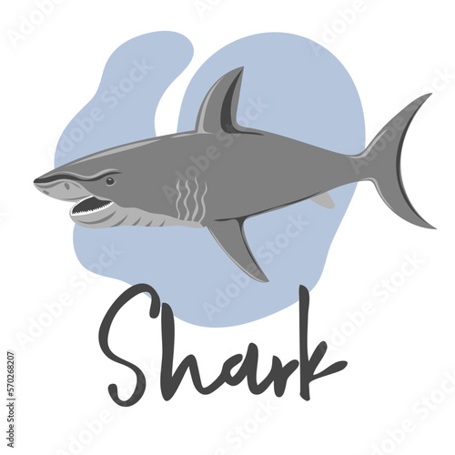 Shark swimming in water. Marine dweller. Concept of sea and ocean life. Vector illustration