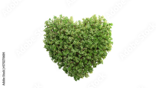 Heart shaped tree on white background. with clipping path. 3D Render.