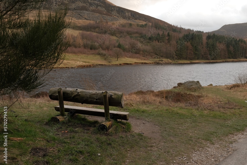bench by the lake bench by the lake
