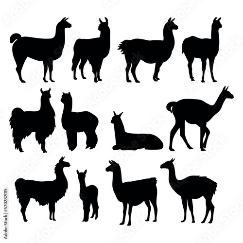 Alpaca llama animal silhouette cutting stencil templates photo