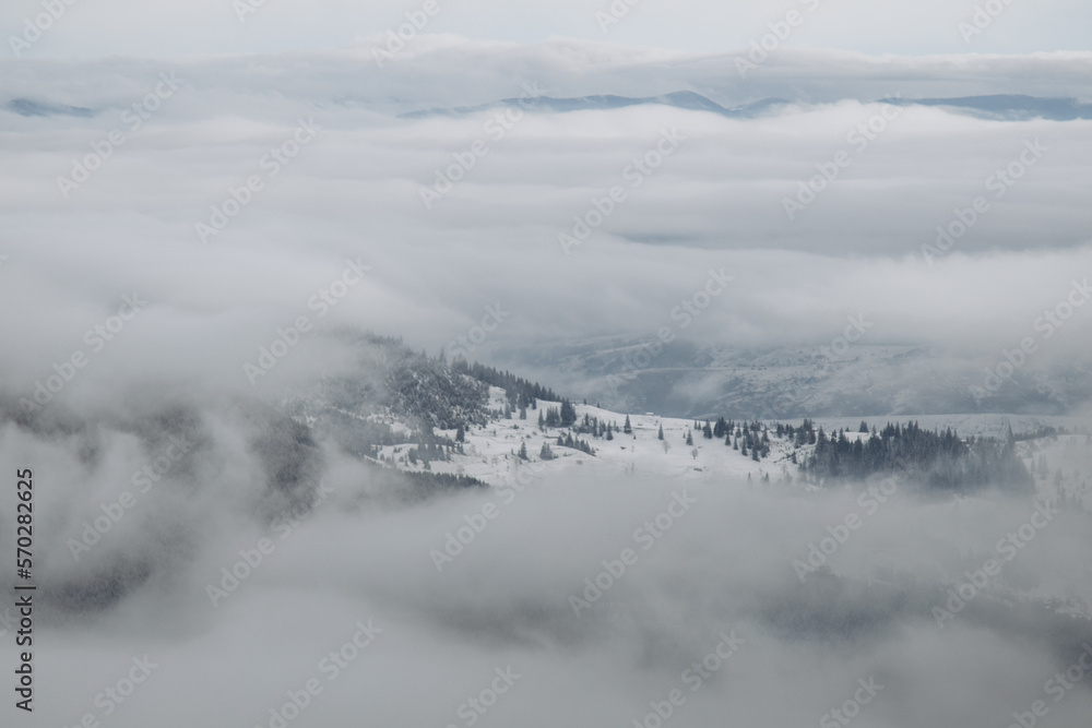 Fototapeta premium Dragobrat, Ukraine mountain landscape with fog and fir trees.