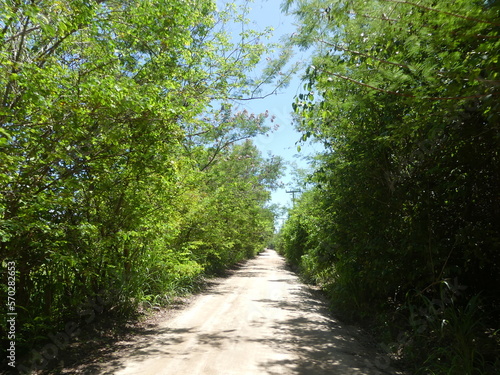 Caminho da Vida