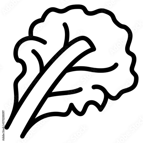 lettuce outline icon