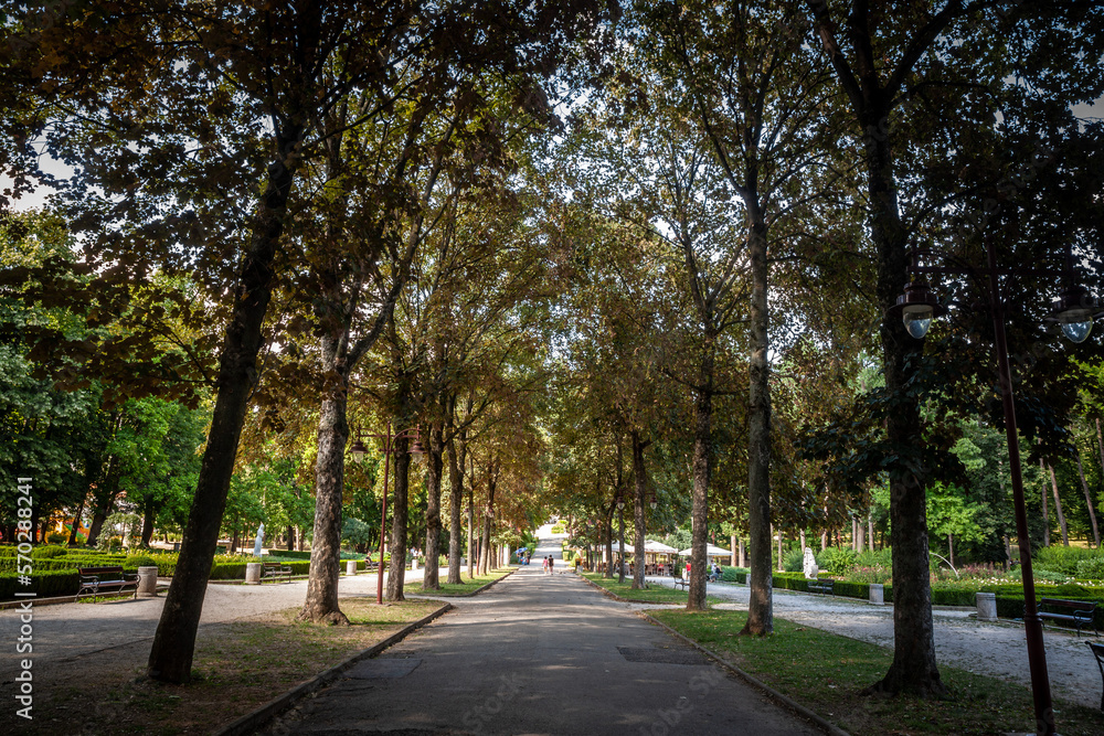 Panorama of the main alley and street of park bukovicke banje in Arandjelovac in summer with tall trees and sun. it's a major landmark of the spa city of Arandjelovac in Serbia