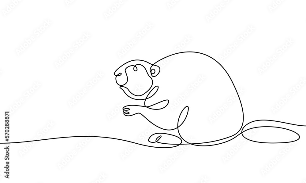 Beaver. An animal drawn with a continuous line. Banner. Vector flat illustration Beaver. An animal drawn with a continuous line. Banner. Vector flat illustration