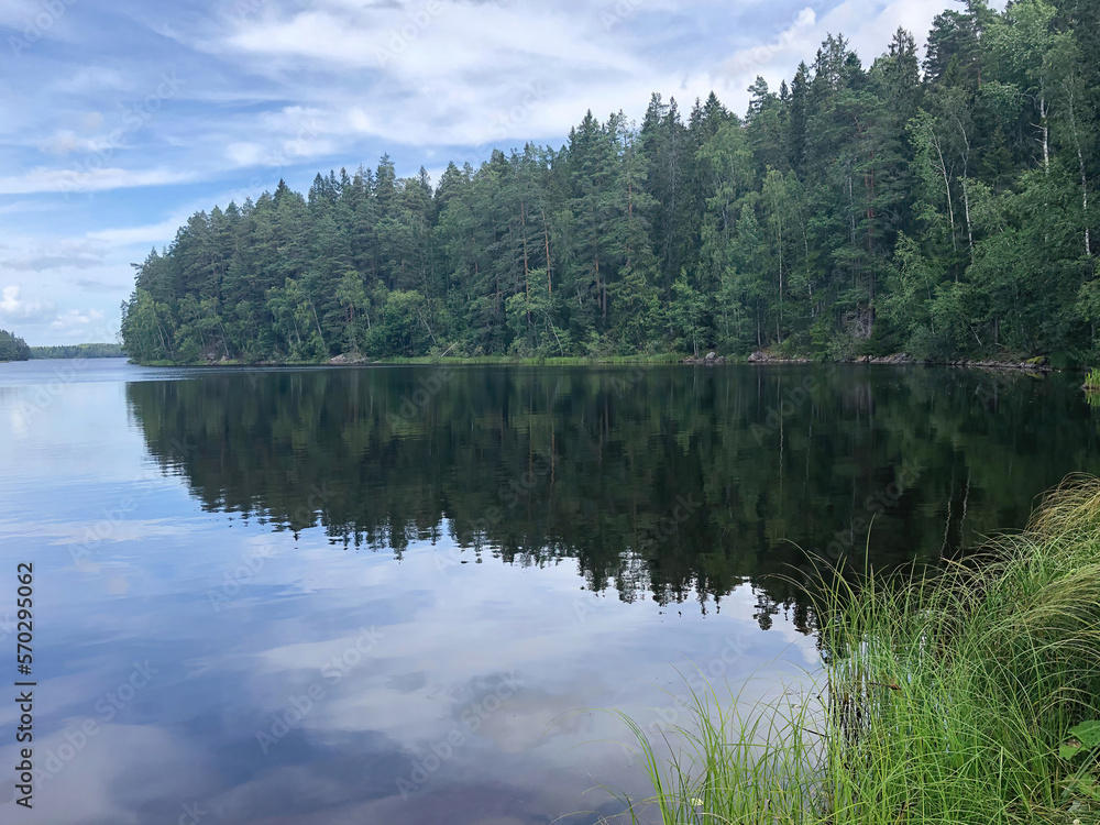 Lake in a forest in Sweden. The trees are reflected in the lake. Cloudy day in summer season.