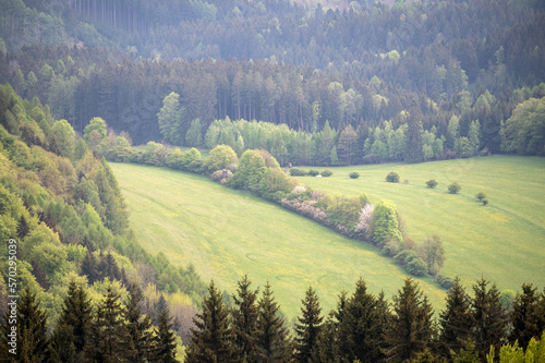 Picture of forest and meadow with a hunting seat hidden in the woods. Landscape without sky, only spring green trees and grass.