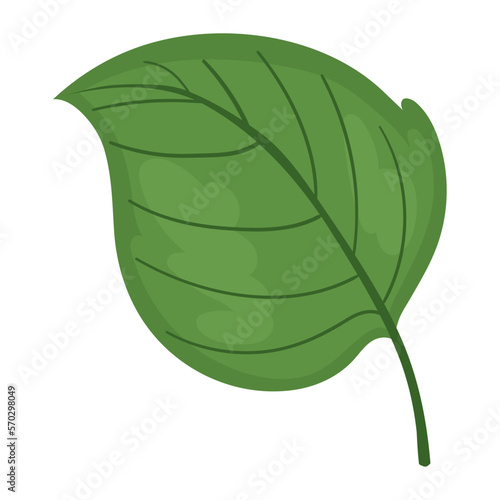 leaf nature ecological