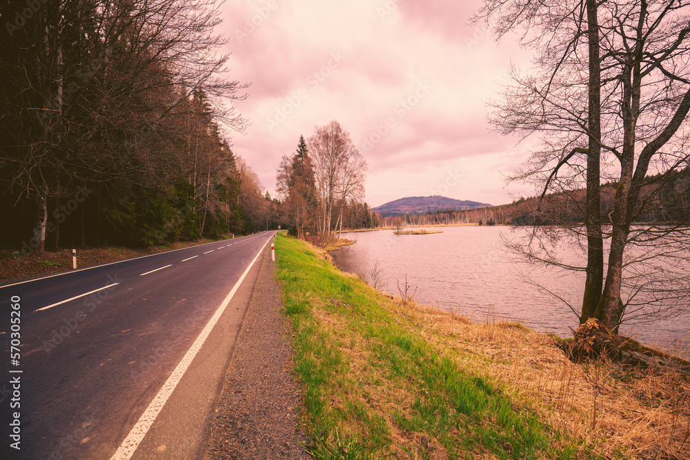 Fototapeta premium Highway along the river in the forest on a cloudy spring morning