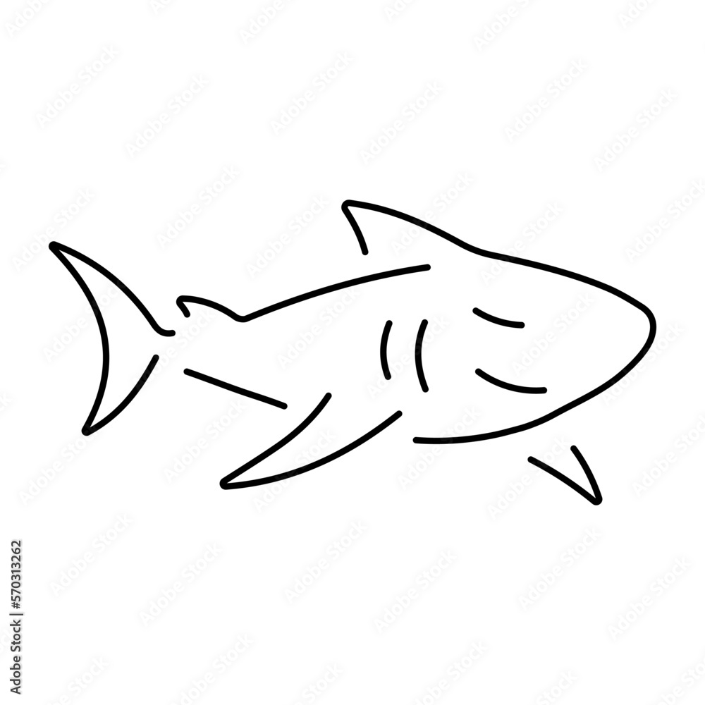 Fototapeta premium shark icon isolated on white background, vector illustration.