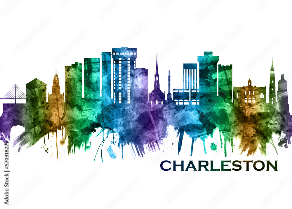 Fototapeta premium Charleston South Carolina Skyline