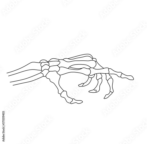 Vector isolated one single dead man hand skeleton with pointing index finger colorless black and white contour line easy drawing