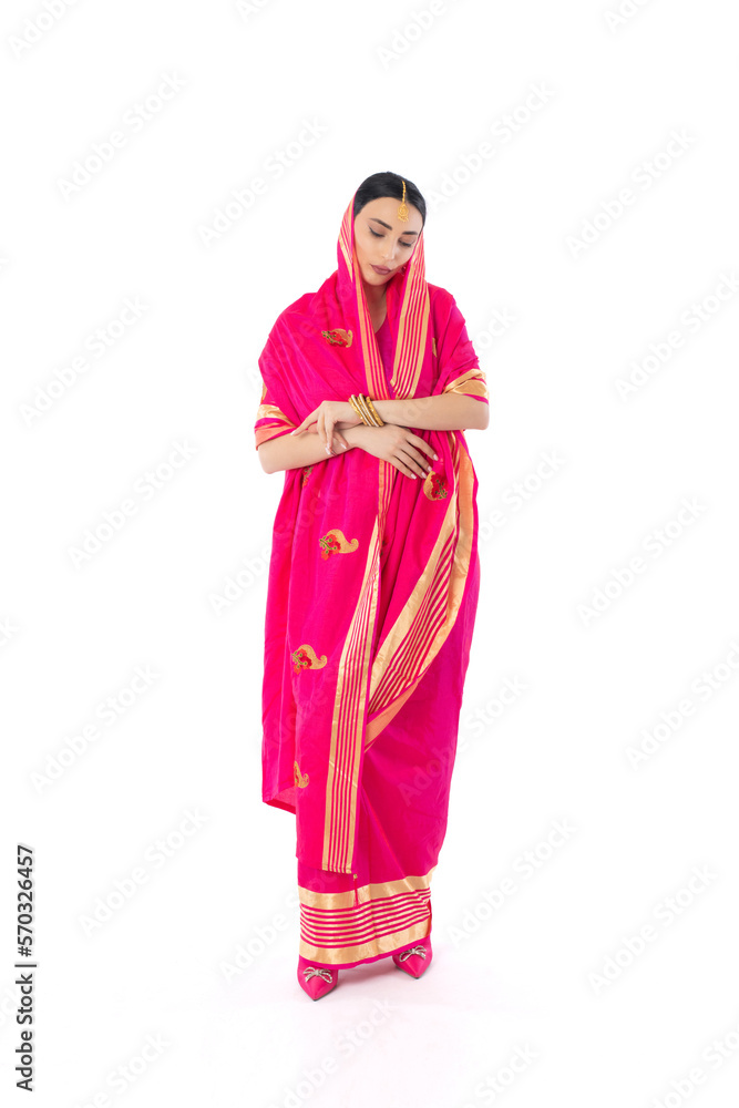 Woman in Indian Traditional Dress