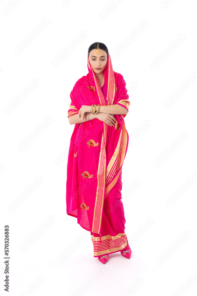 Woman in Indian Traditional Dress