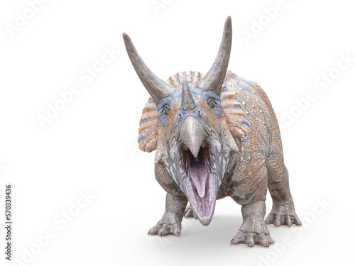 triceratops is angry on white background © DM7
