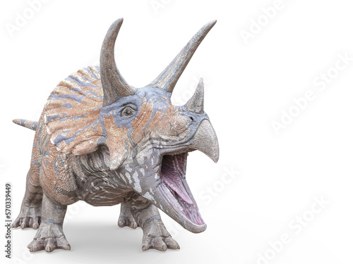 triceratops is calling on white background © DM7