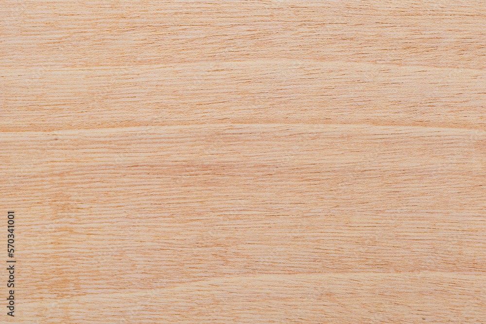 Light rough textured cut surface of an African tree. Wood background or blank for design Light rough textured cut surface of an African tree. Wood background or blank for design