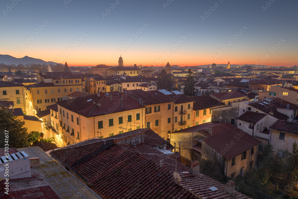 Fototapeta premium Pisa, Tuscany, Italy Town Skyline