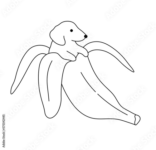 Vector isolated cute cartoon funny banana dog in peel  colorless black and white contour line easy drawing