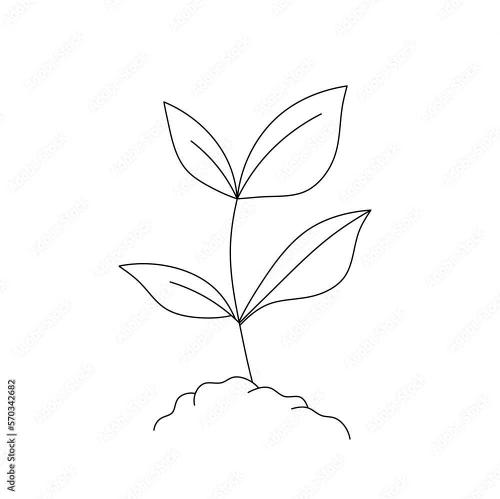 Vector isolated one small simple plant sprout with leaves growing out of the ground colorless black and white contour line easy drawing Vector isolated one small simple plant sprout with leaves growing out of the ground colorless black and white contour line easy drawing