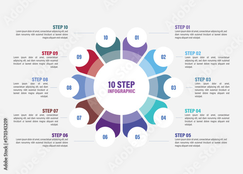 Business infographics. Vector flower chart with 5, 6, 7, 8, 9, 10 steps, options, processes, petals. Vector diagrams.