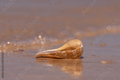 Urlaub, Australien, Pazifik, Natur , Sonne, Strand