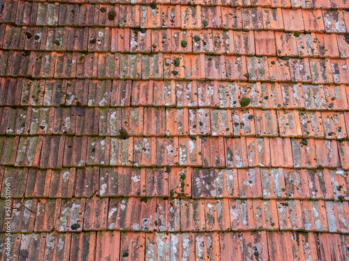 Old roof tile plates texture top view