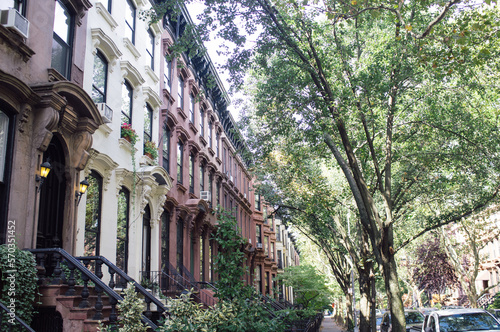 Trees and Brownstones
