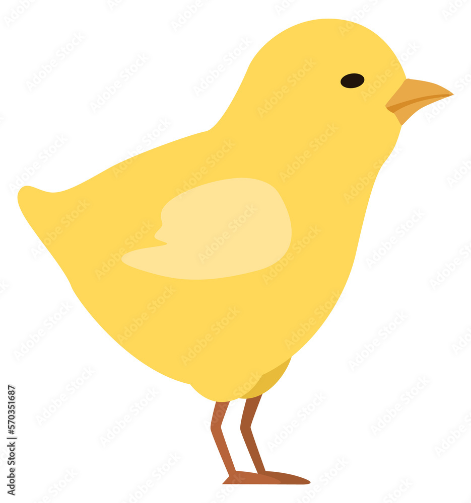Cute chick. Little bird character. Funny animal Cute chick. Little bird character. Funny animal