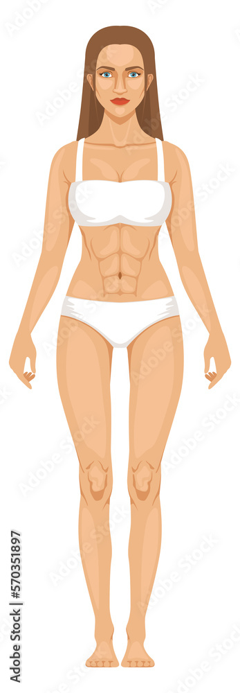 Female figure in underwear. Woman body anatomy icon Female figure in underwear. Woman body anatomy icon