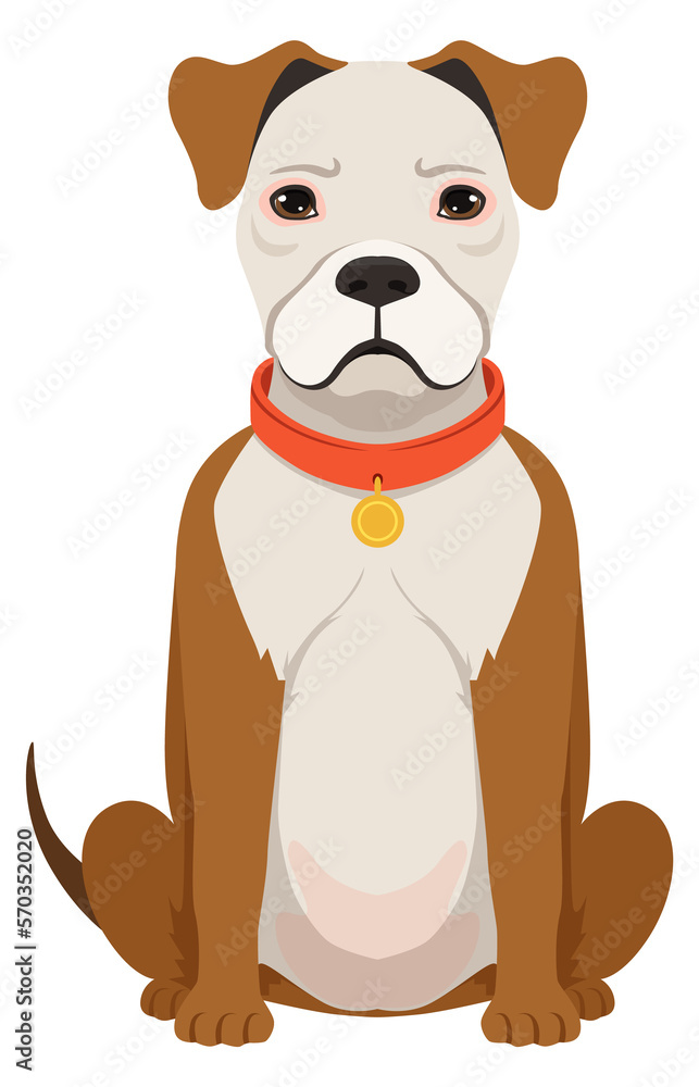 Obraz premium English bulldog breed icon. Sitting dog character