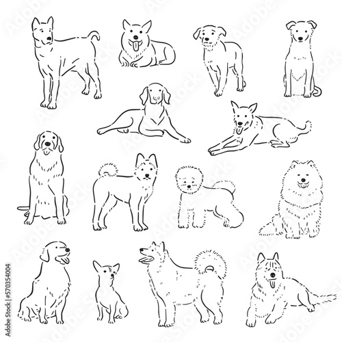 sketchy hand draw doodle cute dog line art