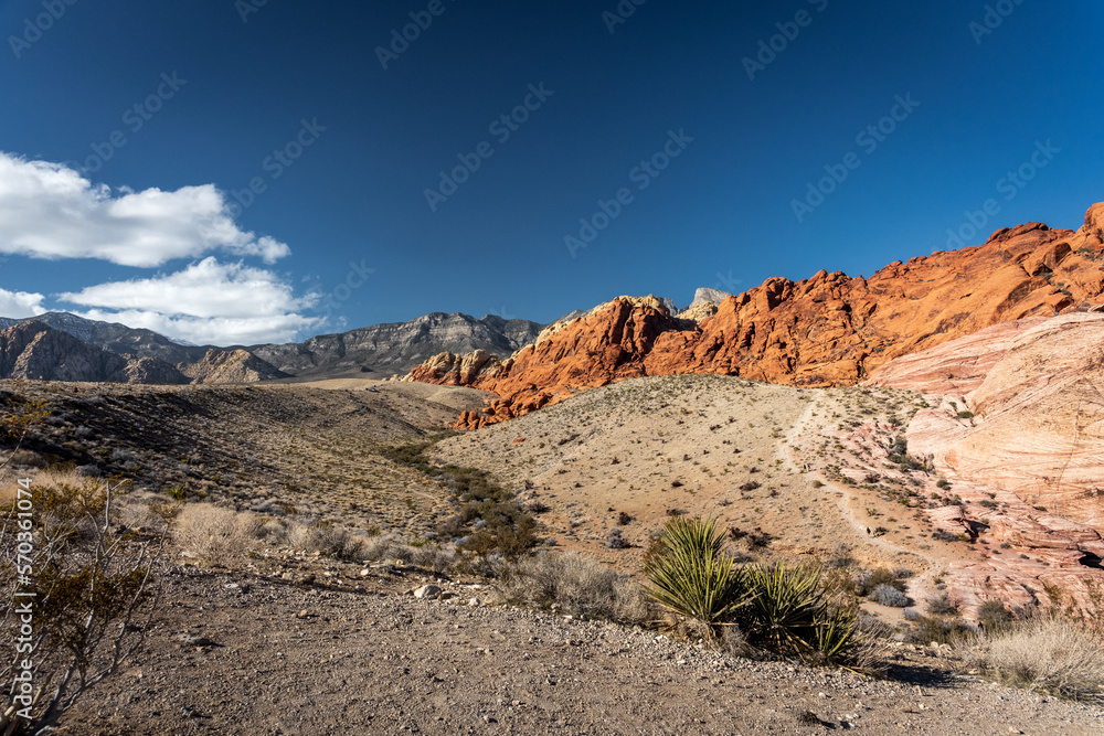 Fototapeta premium Landscape of the sandstone red rocks in Red Rock Canyon in Nevada