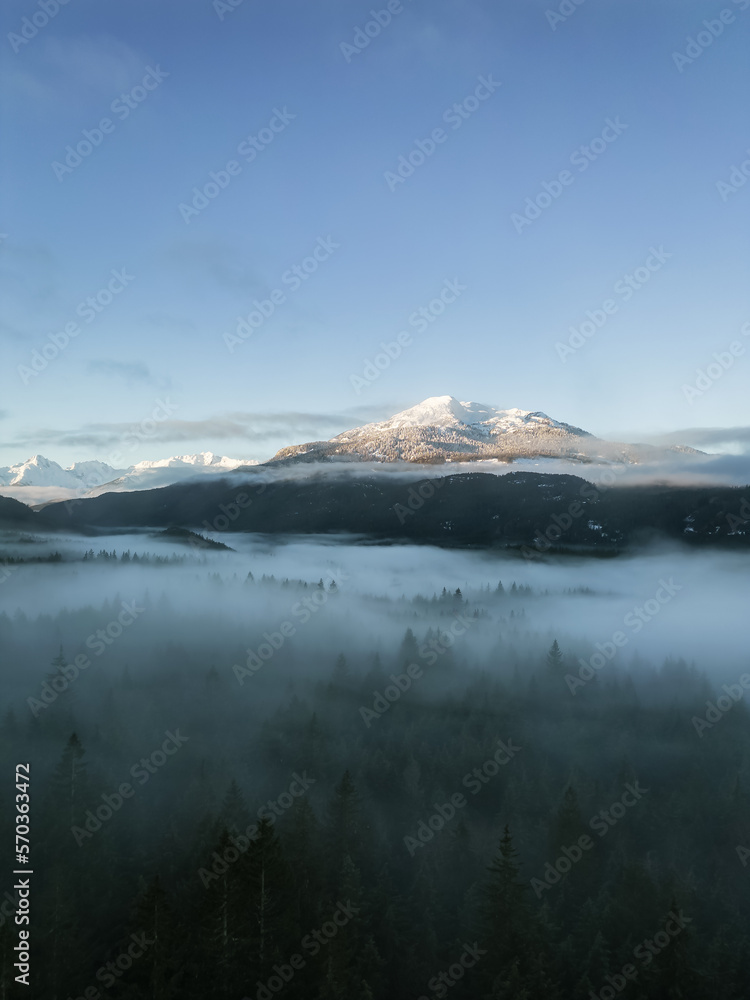 Green Trees in Forest with Fog and Mountains. Winter Sunny Sunrise. Canadian Nature Landscape Background. Near Squamish, British Columbia, Canada.