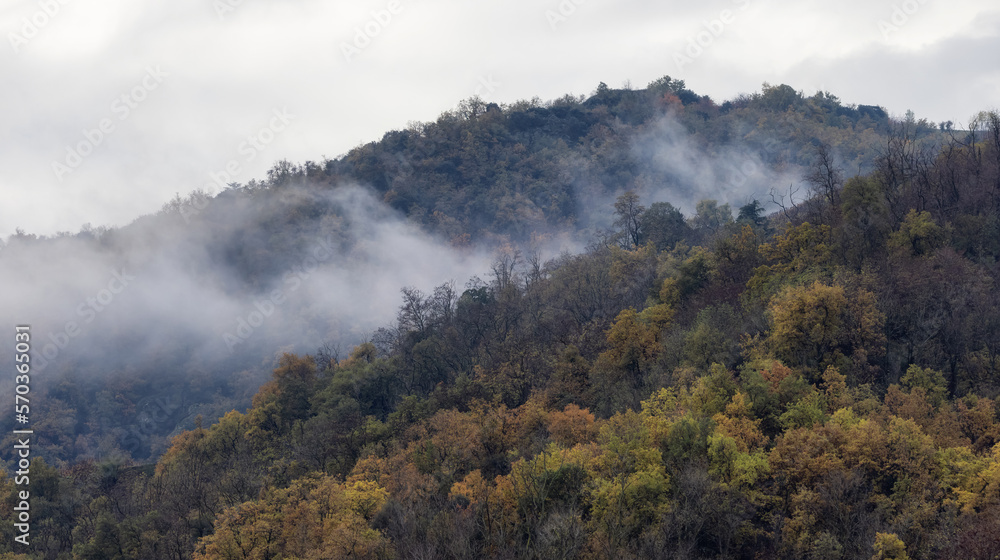 Colorful Trees on the Mountain during Fall Season. France, Europe. Nature Background. Colorful Trees on the Mountain during Fall Season. France, Europe. Nature Background.