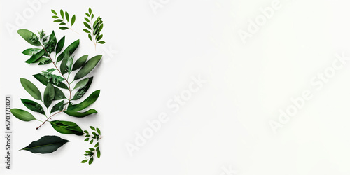 Design Plum Tree with Green Leaves on White Background for Branding and Marketing