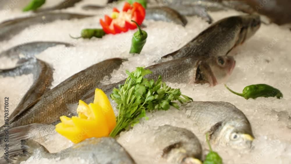 Showcase with fresh fish in a restaurant. Dorado and sea bass in ice, decorated with fruits. Counter with fish, seafood Showcase with fresh fish in a restaurant. Dorado and sea bass in ice, decorated with fruits. Counter with fish, seafood