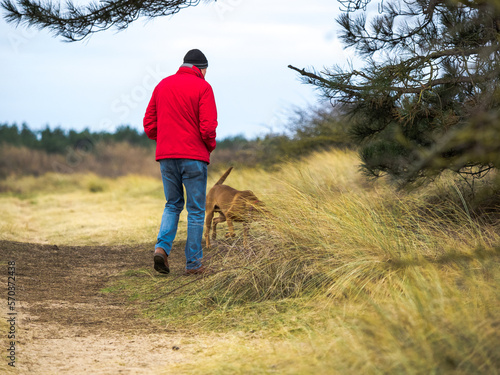 Lone man rear view and dog on a morning walk man wears bright red coat and blue jeans and woolly black hat © Paul
