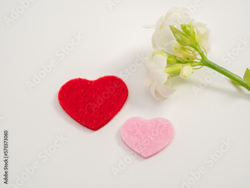 Hearts and a white flower on a white background. Valentine's Day.