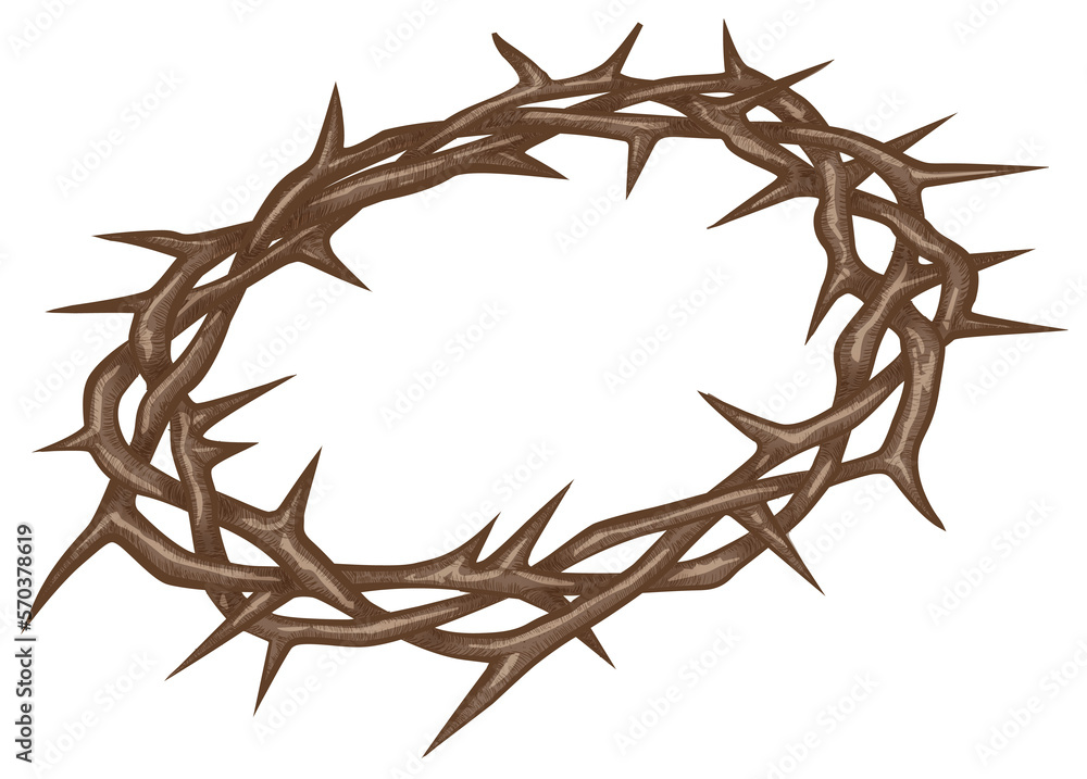 COROA DE ESPINHOS, COROA DE CRUCIFICAÇÃO, COROA DE ESPINHOS,SPINE CROWN ...