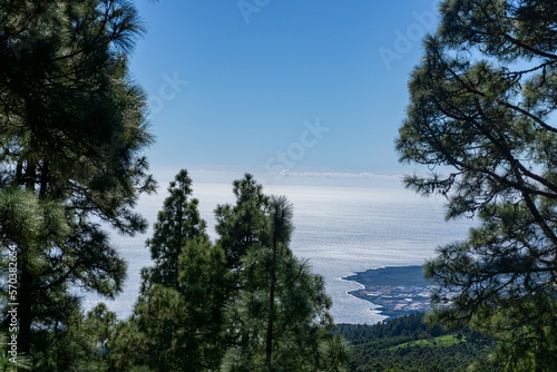 Amazing views all over Puerto de la Cruz, the Canary Islands, and Tenerife