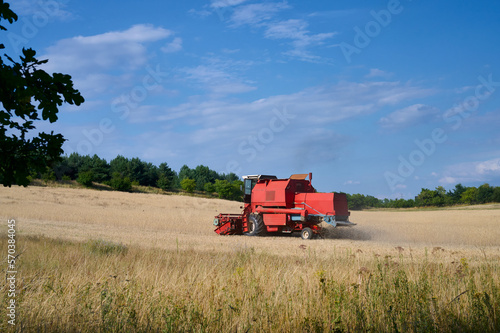 Combine harvester working on a wheat field in summer.