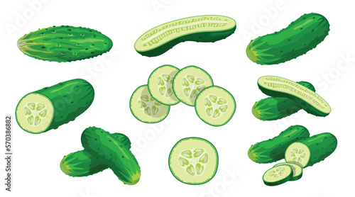Cucumbers set. Whole, halved, sliced cucumbers. Fresh green cucumbers. Organic vegetables. Best for menu, market designs. Vector illustrations.