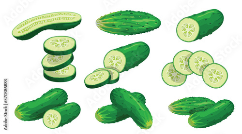 Cucumbers set. Whole, halved, sliced cucumbers. Fresh green cucumbers. Organic vegetables. Best for menu, market designs. Vector illustrations.
